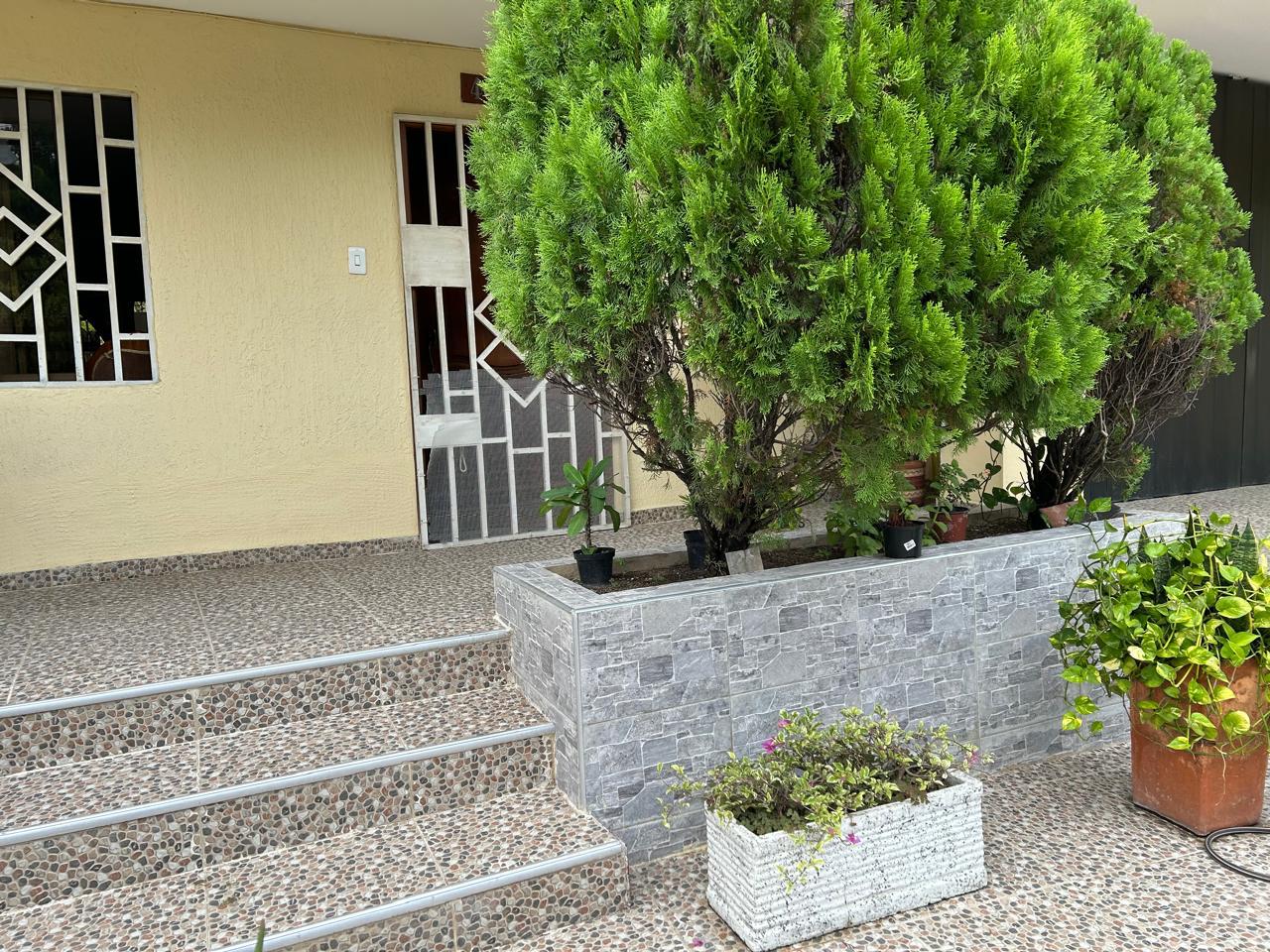 APARTAMENTO CAMPO ALEGRE